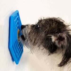 Sticky Licky Pad for Pet Peanut Butter