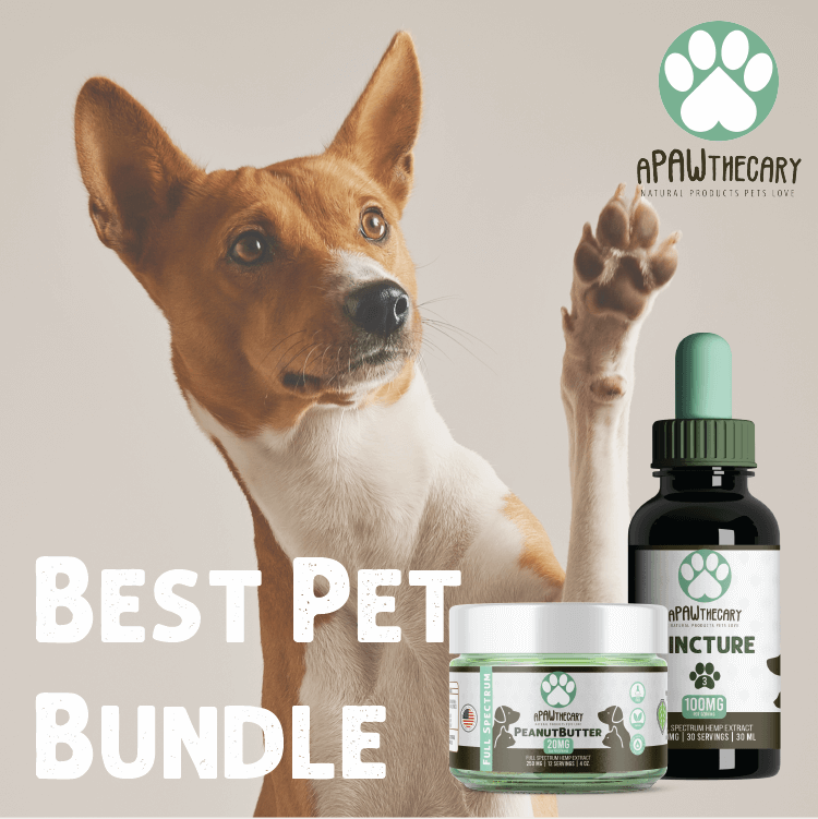 Best Pet Bundle