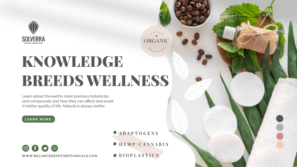 Holistic Wellness Education